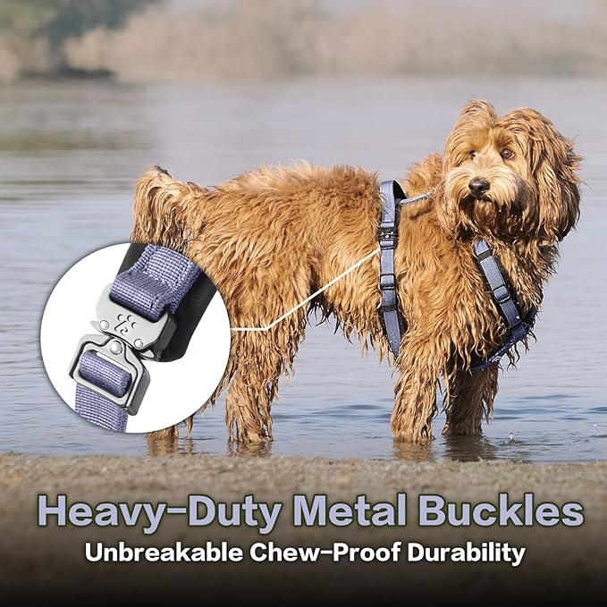 PawsPassion Dog Harness for Small Dogs, No Pull Dog Harness Easy Walk with Metal Hardware, Ergonomic Y-Shaped Design, Soft Padding, Padded Handle, Durable High-Tensile Nylon (Lilac Breeze, S)