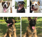 Chain Choke Collar for Dogs, Metal Slip Link Training Heavy Duty Dog Choker Collar Martingale for Medium Large Dogs L+ Length: 24” 4.0mm(Suitable for Dog's Neck 20")