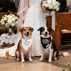 Realeaf My Humans are Getting Married Dog of Honor Dog Bandana,Wedding Outfit for Boy and Girl, Premium Durable Fabric, Engagement Announcement for Large and XLarge Dogs (X-Large)