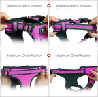NESTROAD No Pull Dog Harness,Adjustable Oxford Dog Vest Harness with Leash,Reflective No-Choke Pet Harness with Easy Control Soft Handle for Small Medium Dogs(Medium,Fuchsia Pink)