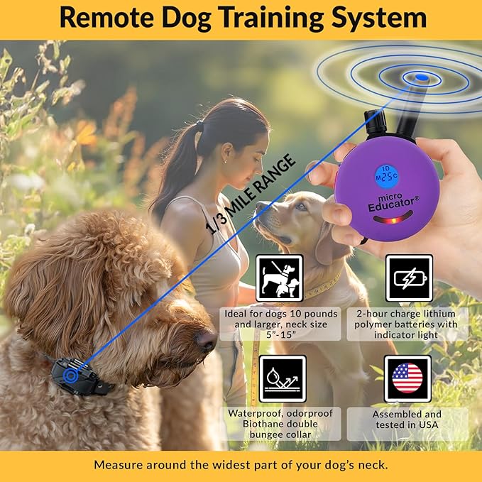 Micro Educator ME-300 Dog Training E-Collar with Remote–Double Bungee Collar for Small Dogs 5–15" Neck – Lightweight,Waterproof & Rechargeable–100 Levels Tapping Stimulation,1/3 Mile Range, Purple