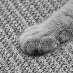 Gray Cat Scratching Mat Sisal, 2 Packs Sisal Fabric Large Cat Scratching Pad for Indoor Cats with Adhesive Hook Loop Tape, Wall Scratchers for Indoor Cats 23.6" x 15.7"