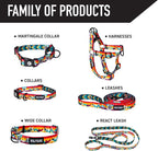 Wolfgang Heavy Duty, Adjustable Dog Collar with Quick Release Nylon Buckle for Walking & Training, MountainVibes Print, Small