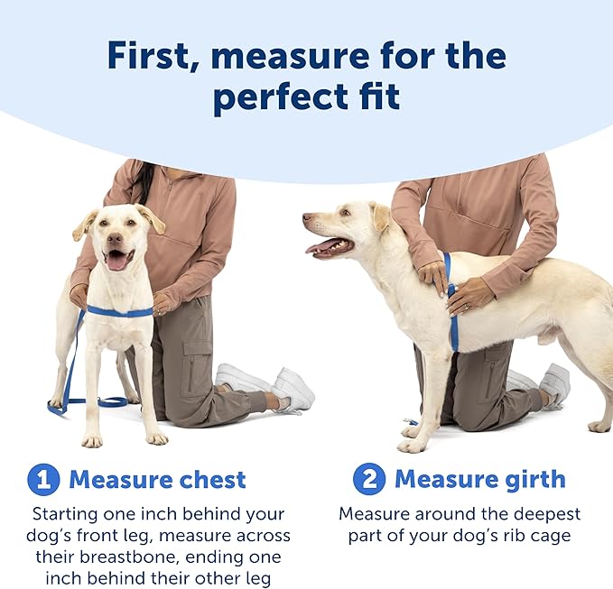 PetSafe Easy Walk Deluxe Dog Harness, No Pull Dog Harness – Perfect for Leash & Harness Training – Stops Pets from Pulling and Choking on Walks – Large, Apple