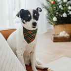 Realeaf Christmas Dog Bandanas 2 Packs, Reversible Red Green Plaid Dog Scarf, Xmas Pet Bandana for Boy and Girl, Premium Durable Fabric, Holiday Check Bandana for Small and Medium Dogs Pets (Small)