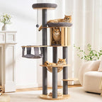 HITTITE Solid Wood Cat Tree Tower with Scratching Post, 61 Inches Tall Cat Towers with Capsule and Condo, Modern Cat Tower with Hammock and Removable Top Bed for Indoor Cats.Grey