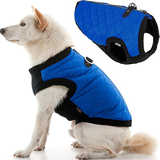Gooby Fashion Vest Dog Jacket - Blue, X-Small - Warm Zip Up Dog Bomber Vest with Dual D Ring Leash Water Resistant for Small to Medium Dogs