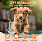 Shock Collar for Dogs - 4265ft Waterproof Training Collar with Flashing Light for Small Medium Large Dogs with Rechargeable Remote, Beep (1-8), Vibration(1-16), Safe Shock(1-99) (Orange)