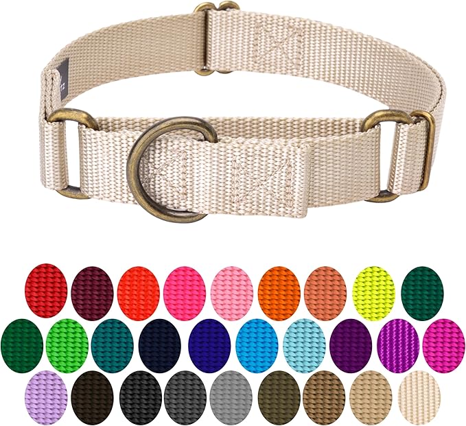 Country Brook Petz - Martingale Dog Collar - Heavy-Duty Training Collar with No Buckle - Service Dog Collar for All Pups - 10+ Warm Colors (Almond, 3/4 Inch, Small)