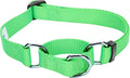 Blueberry Pet Essentials Martingale Safety Training Dog Collar, Neon Green, Medium, Heavy Duty Nylon Adjustable Collars for Dogs