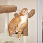 Yaheetech Cactus Cat Tree, 42in Cat Tower for Indoor Cats, Multi Level Kitten Condo Scratching Post, Pet Activity Center Furniture w/Ball, Plush Perch, Platform, Basket, Beige/Brown