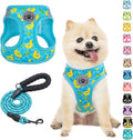 BEAUTYZOO Small Dog Harness and Leash Set,Step in No Choke No Pull Soft Mesh Dog Harnesses Reflective for Extra-Small/Small Medium Puppy Dogs and Cats,BlueDuck M