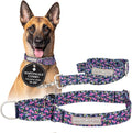 Lucky Love Dog Martingale Dog Collar & Leash - Adjustable, No-Slip, Durable, Comfortable, Soft Webbing, & Stylish Patterned Collar & Leash Set for Male and Female Dogs - Primrose Combo, Large