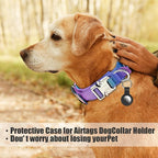 Tactical Nylon Dog Collar - Heavy Duty Metal Buckle with Handle for Dog Training, with Patches (Gradient 1, L)