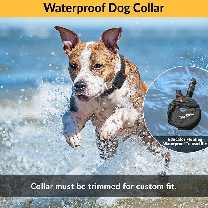 Educator E-Collar Humane Dog Training Collar with Remote, 100 Safe Tapping Stimulation Levels, Night Light, Waterproof, Rechargeable, 1 Mile 2 Large Dogs, Black
