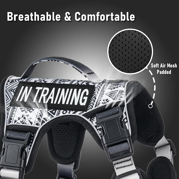 No Pull Dog Harness for Small Dog Breeds, Anti-Escape Easy Walking Reflective Adjustable Lightweight Dog Vest with Breathable Oxford Material, Easy on Easy Off with Neck Buckle,Black Ethnic XS