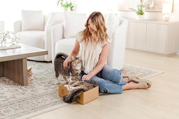 Sexy Liza's Cat Scratching Box-4 Four Reversible Scratch Pads; Lasts 4 Times Longer. No Assembly -Ready to go. Cat Scratch Lounger and Bed.. Comfy Size for The Comfy Chonk.