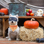 Elegant Little Tail Halloween Girl Boy Dog Bandanas - Washable Square Scarfs, Adjustable Kerchiefs for Small, Medium, Large Dogs