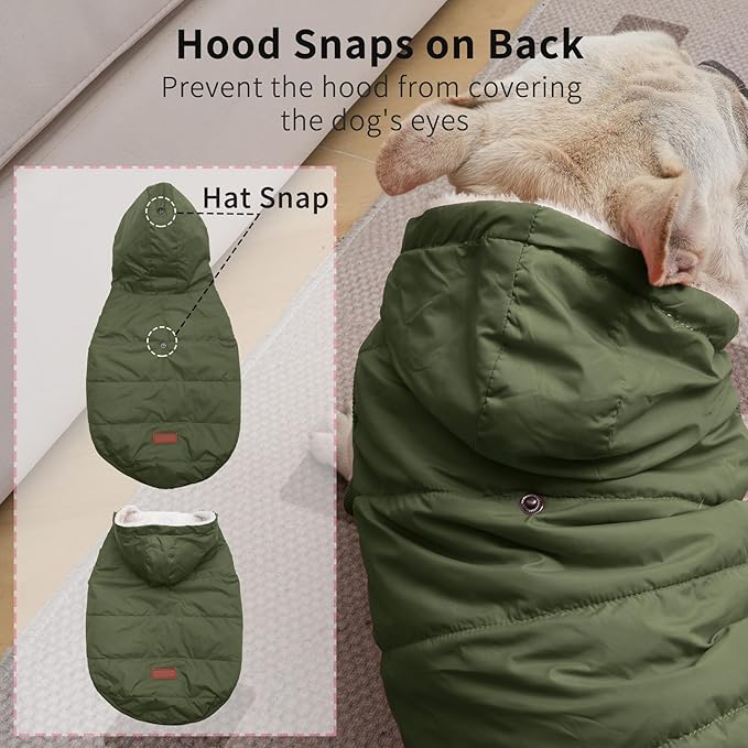 Fleece Lining Extra Warm Dog Hoodie in Winter for Small Dogs Jacket Puppy Coats with Hooded Green M