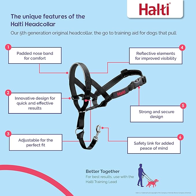 Halti Headcollar - Stop Your Dog Pulling on The Leash. Adjustable, Reflective and Lightweight, with Padded Nose Band. Dog Training Anti-Pull Collar for Medium Dogs (Size 3, Desert Sand)
