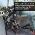 Active Pets Blue Car Seat Belt for Dogs, Attaches to Harness & Collar, Adjustable 18" - 24" Travel Restraint System Fits Small - Large Pups for Safety & Comfort, Essential Pet Supplies & Accessories