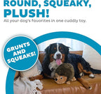 Outward Hound Hedgehogz Stuffed Dog Toy – Soft Plush Hedgehog, Grunts & Squeaks, XL, 12" x 8.5" x 9"