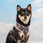 Puppia Corwin Dog Harness A (Over-The-Head) Fashionable Checkered Pattern Spring Summer Harness for Small and Medium Dogs, Navy, X-Large