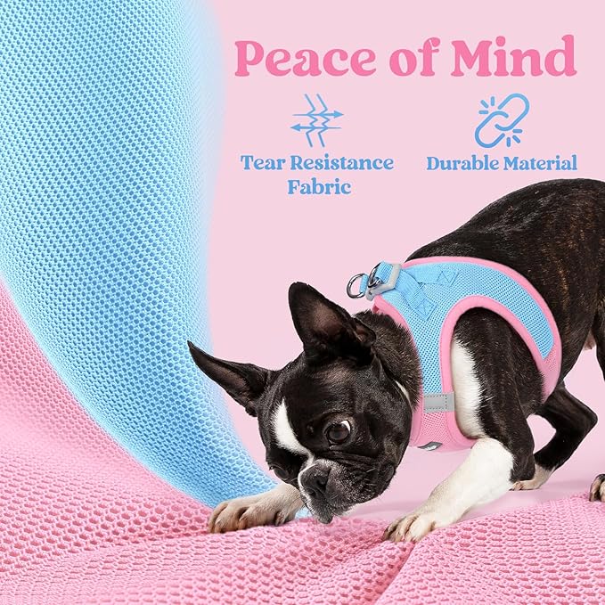 rabbitgoo Small Dog Harness, Step-in Soft Mesh Puppy Vest with Safety Buckle, Breathable Reflective Pet Harness for Small Medium Dogs, Blue & Light Pink XL