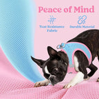 rabbitgoo Small Dog Harness, Step-in Soft Mesh Puppy Vest with Safety Buckle, Breathable Reflective Pet Harness for Small Medium Dogs, Blue & Light Pink L