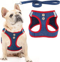PUPTECK Dog Harness and Leash Set for Small Medium Dogs No Pull Step-in Soft Mesh Puppy Cat Vest Harnesses Reflective at Night, Denim NavyBlue L