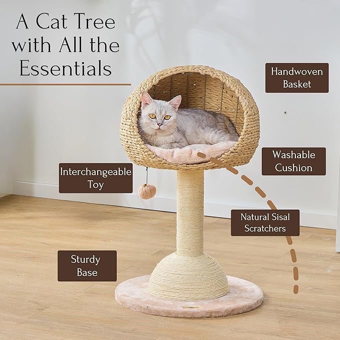 PetPals 2-Level Cat Tree with Handwoven Recycled Paper Rope Baskets, Sisal Scratching Posts, Playful Teaser Toy, Eco-Friendly, Washable Cushion, Cat Furniture (Brown Beige)