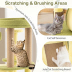 PETSITE 49-inch Avocado-Themed Cat Tree, Multi-Level Modern Cat Tower with Jute Scratching Posts, Cat Condo, Self Groomer Brush, and Dangling Toys, Cute Cat Tree Tower for Indoor Cats