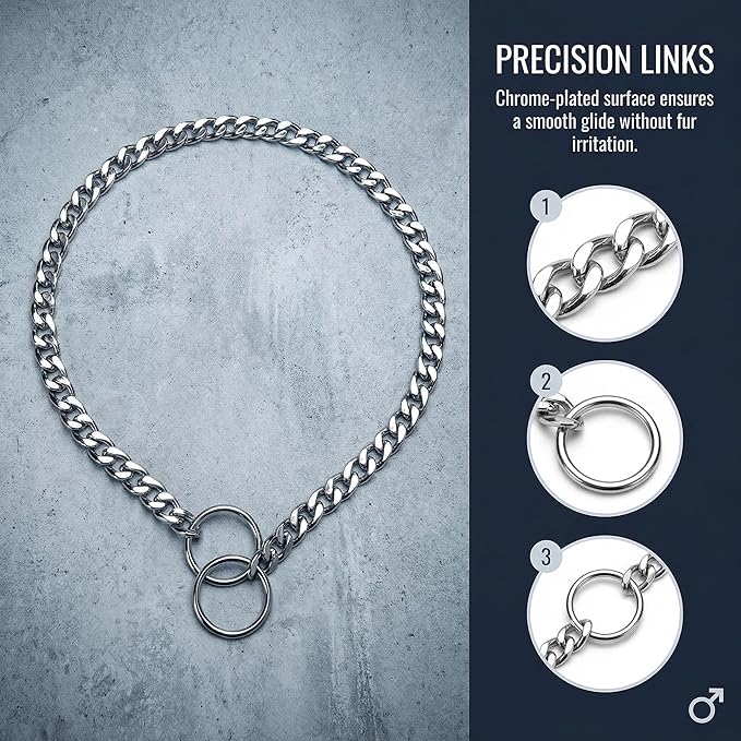 Dog Choke Collar Dogs Chain Choker Metal Slip P Link Training Collar Pet Puppy Martingale Collars for XS Small Medium Large Big XL Breed Dogs Silver (Silver, S(Neck Max 16inch) D2.5mm)