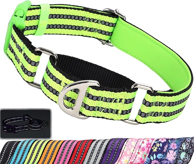 Martingale Collar for Dogs -Reflective Nylon No Slip Choke with Padded Comfort Heavy Duty Dog Collar with Quick Release Buckle for Training, Walking & Overexcited Pulling Green L