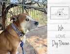 Lucky Love Dog Wide Martingale Dog Collar - No-Slip, Durable, & Soft Webbing 1.5 inch Martingale Collar for Dogs Male and Female Ideal for Training & Walking - Murphy, Medium