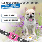 Bark Collar for Small Dogs 5-15 lbs with Magnetic Charging – No Shock, 3 Beep & Vibration Modes, 5 Sensitivity Levels – Humane Stop Anti-Barking Device – Dog Training Bark Collar (Pink)