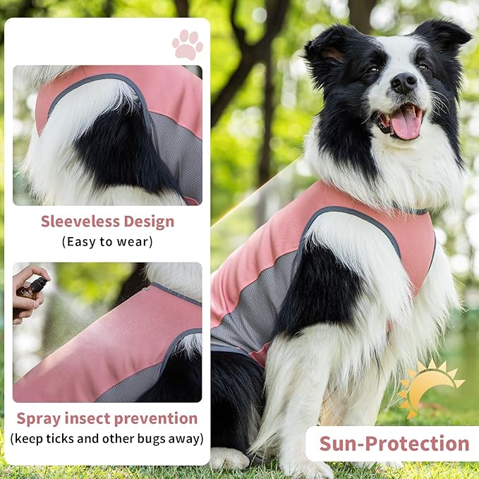 Dog Shirt, Cooling Vest Lightweight Breathable, Dog T-Shirts All-Season UV Protection Pet Clothes Quick Dry Soft Stretchy Pet Shirt Vest for Small Medium Large Dogs (Brier Rose 1PC, X-Large)