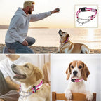 Martingale Dog Collars with Stainless Steel Chain, Reflective No Pull Walking Training Collar with Quick Release Buckle, Adjustable Slip Chain Nylon Dog Collars for Small Medium Large Dogs