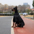 Warm Dog Coat, 4 Legs Covered Waterproof Windproof Reflective Vest, Zippered Adjustable Outdoor Snow Jacket for Small Medium Large Dogs, Black S