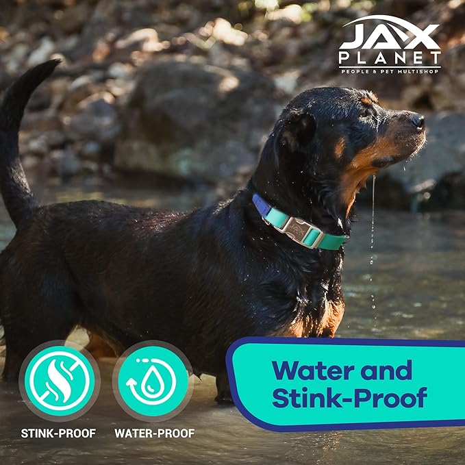 Jelly Waterproof Martingale Dog Collar, No Pull Nylon Collar with Alloy Metal Buckle & D-Ring for Outdoor Training and Walking, Anti Pull, Escape Free, One Time Adjustment - Turquoise & Blue, L