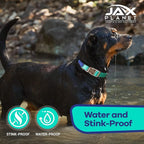Jelly Waterproof Martingale Dog Collar, No Pull Nylon Collar with Alloy Metal Buckle & D-Ring for Outdoor Training and Walking, Anti Pull, Escape Free, One Time Adjustment - Turquoise & Blue, M