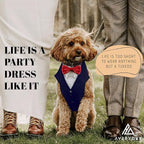 AVERYDAY Dog Tuxedo for Wedding Outfit, Dog Suit and Tie Costumes for Birthday, Halloween, Cosplay, Christmas Party, Pet Formal Wear with Bowtie, Tux for Medium Large Dogs, Bulldog, Labrador, Husky