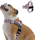 DF Co. Dog Harness | Chafe Resistant Webbing, Adjustable Neck & Chest, and Heavy Duty D-Ring | Sturdy, Comfortable, Easy to Use | Pink Camo, Size M