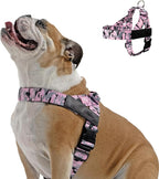 DF Co. Dog Harness | Chafe Resistant Webbing, Adjustable Neck & Chest, and Heavy Duty D-Ring | Sturdy, Comfortable, Easy to Use | Pink Camo, Size XS