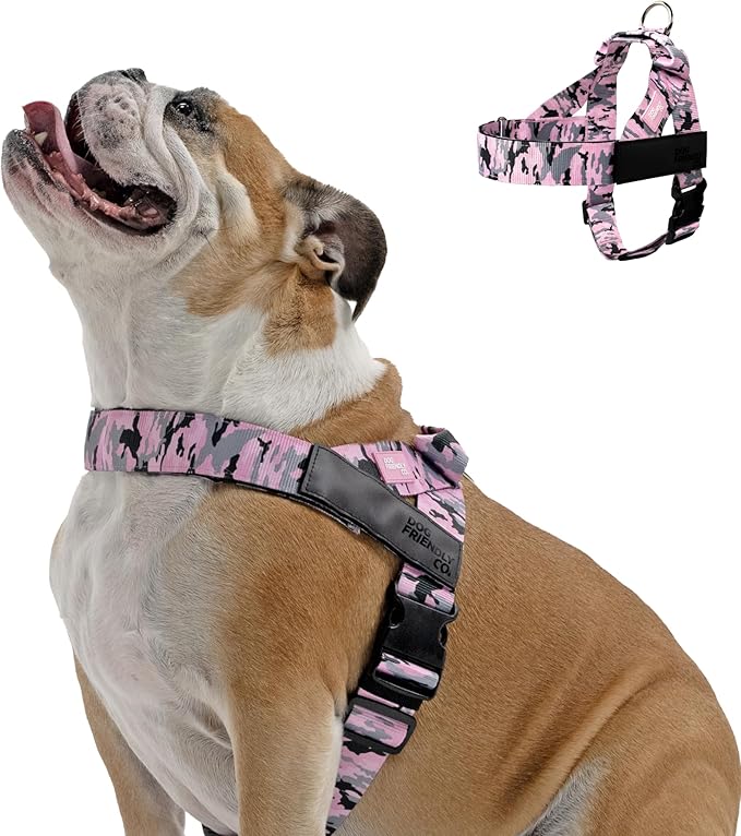 DF Co. Dog Harness | Chafe Resistant Webbing, Adjustable Neck & Chest, and Heavy Duty D-Ring | Sturdy, Comfortable, Easy to Use | Pink Camo, Size XXS