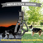 No Pull Dog Harness with Reflective Adjustable,Stops Pets from Pulling and Choking On Walks for Large Dogs (Black, XXL)