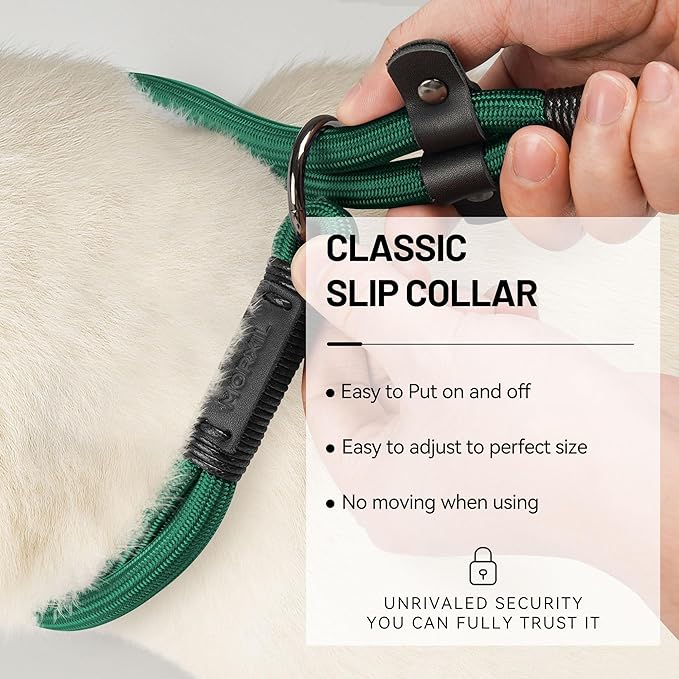 Slip Dog Collar, Nylon Rope Dog Choker Collars with Adjustable Stopper, Heavy Duty Collar for Medium Dog Training (Green)