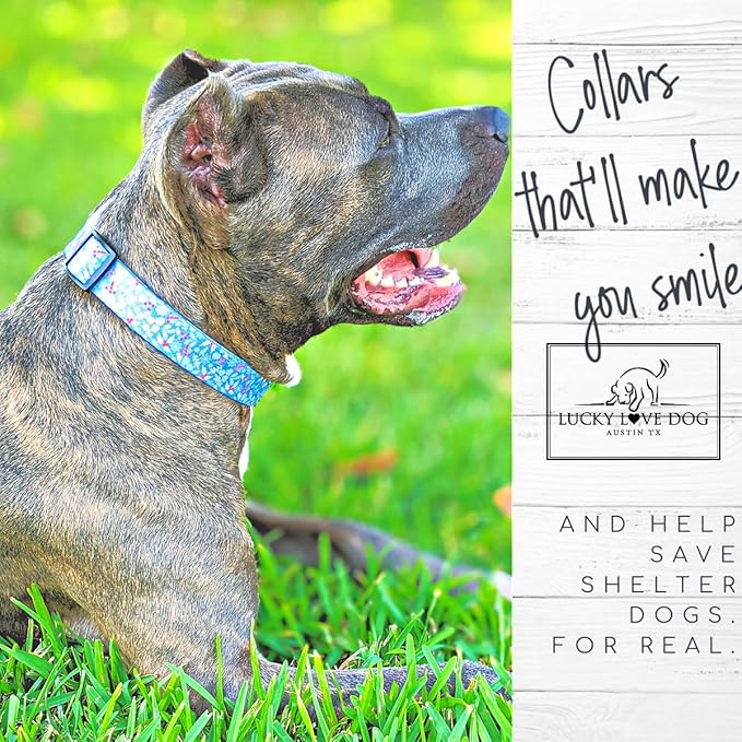 Lucky Love Dog Martingale Dog Collar - Adjustable, No-Slip, Durable, & Soft Webbing Collar for Male and Female Dogs Ideal for Training & Walking - Winterblue, Small