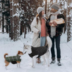 Kuoser Warm Dog Coat, Waterproof Dog Coats for X-Small Dogs, Adjustable Durable Doggie Winter Jacket Reversible Cozy Puppy Cold Weather Apparel from Small to Large Breed, Green XS