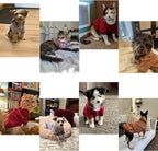 TAPBULL Dog Dresses, Fashionable Pet Dog Sweatshirt Clothes in Light Colors, Cute Cat Birthday Dress Outfit (Pink/Purple/Coffee 3-Pack), X-Large